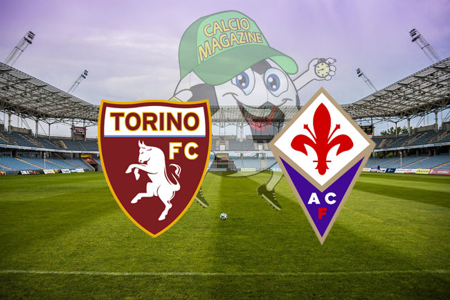 Torino Fiorentina cronaca diretta live risultato in tempo reale